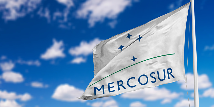 abogados para el mercosur